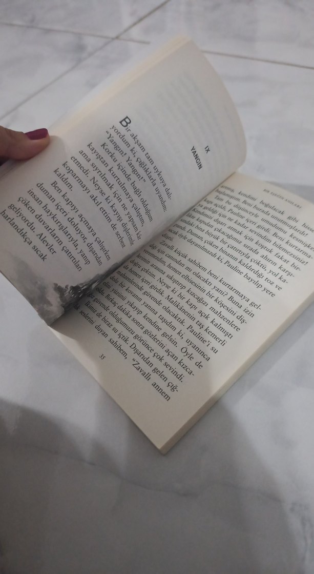 Bir Eşeğin Anıları - Comtesse de Ségur - Görsel 3