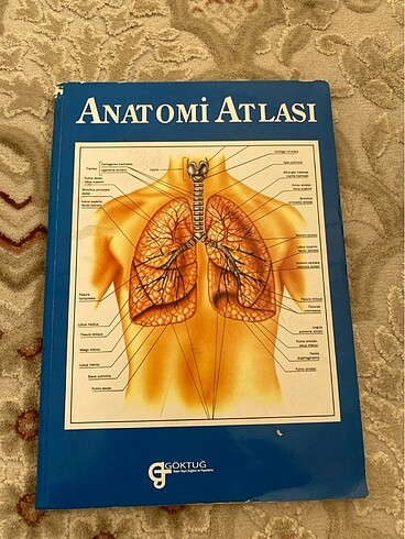 Anatomi atlası