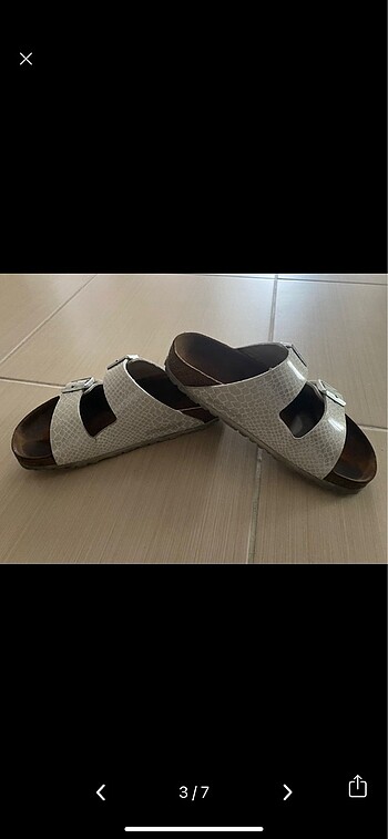 36 Beden Birken stock