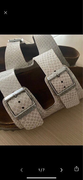 Birken stock