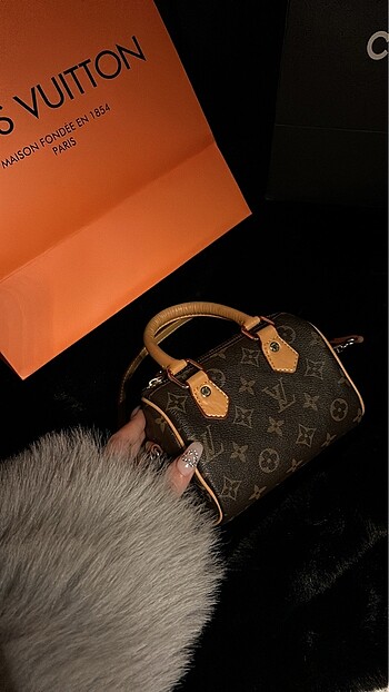 Louis vuitton mini