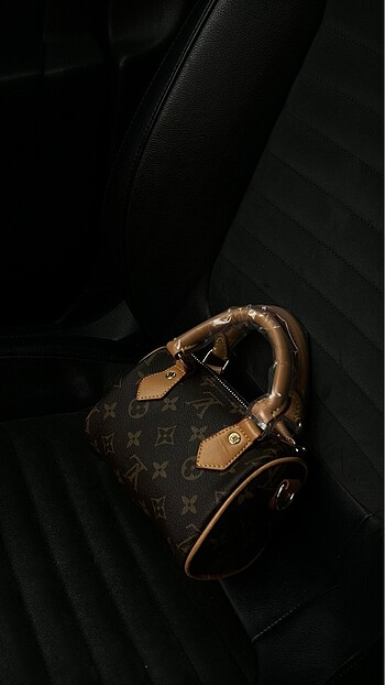 Louis Vuitton Louis vuitton mini