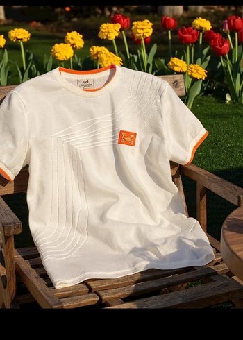 Üst kalite Premium hermes triko tişört