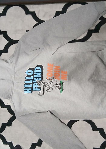 5 adet Kapüşonlu  Erkek Sweatshirt toplu bi şekilde satilcaktir - Görsel 3