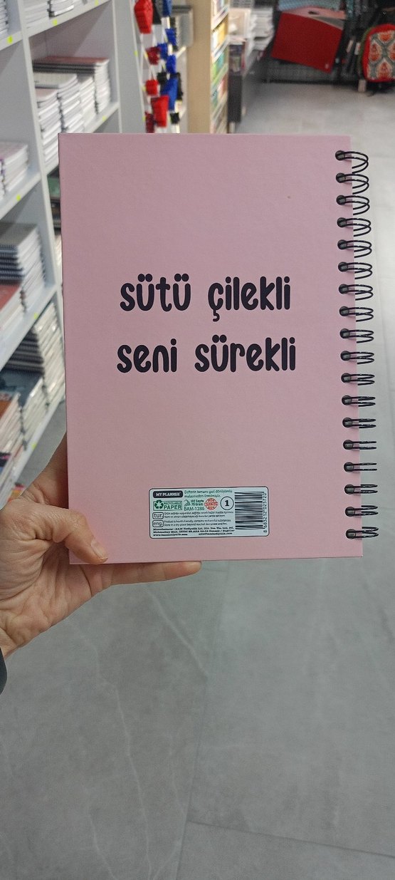 Pembe Spiralli Pastel Defter - Görsel 2