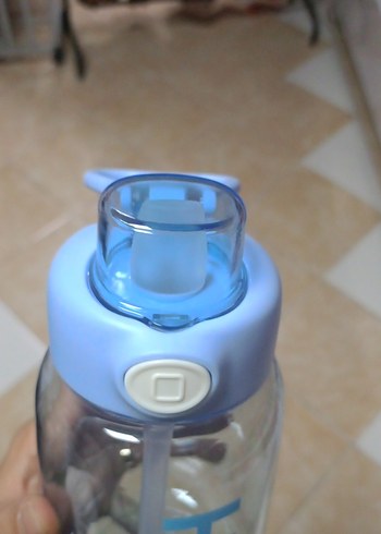 Mavi suluk H2 Yazılı - Görsel 2