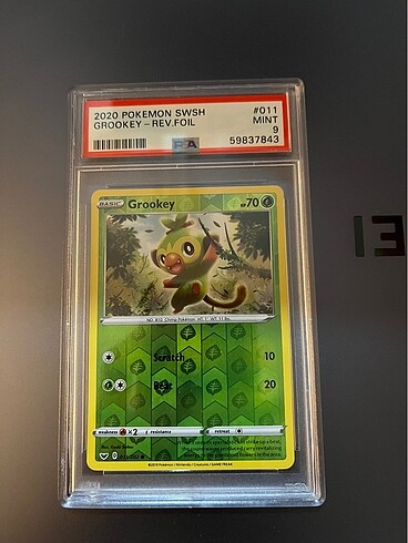 Pokemon Kartı Grookey PSA 9 CGC Slab