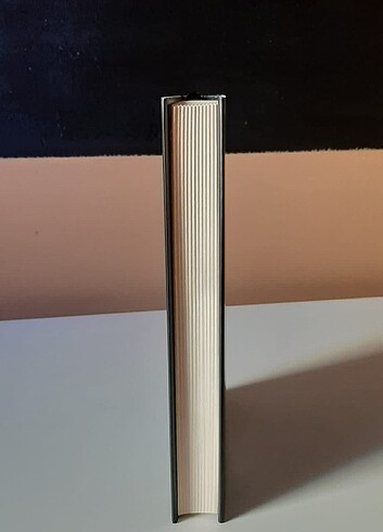  Şiddetli Hazlar Kitap