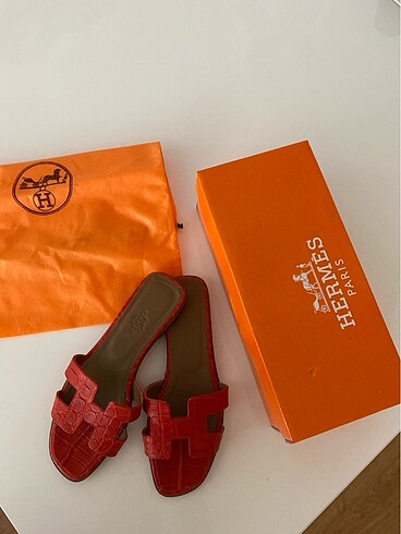 Hermes terlik