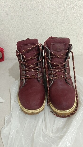Bordo bot