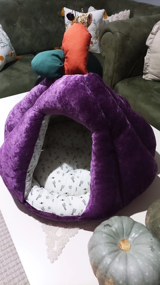 Mor Renkli Kedi Evi - Görsel 2