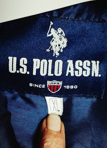 U.S Polo Assn. Lacıvelt mont