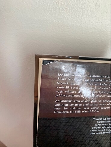 Beden Sokak nöbetçileri 3 - aslı arslan