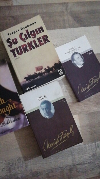 Beden Şu çılgın Türkler çile sahte kahramanlar seni beklerken