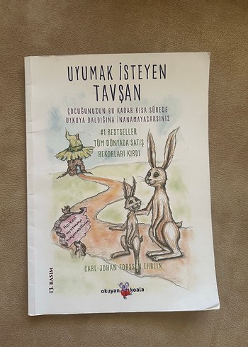 Uyumak İsteyen Tavşan Çocuk Kitabı
