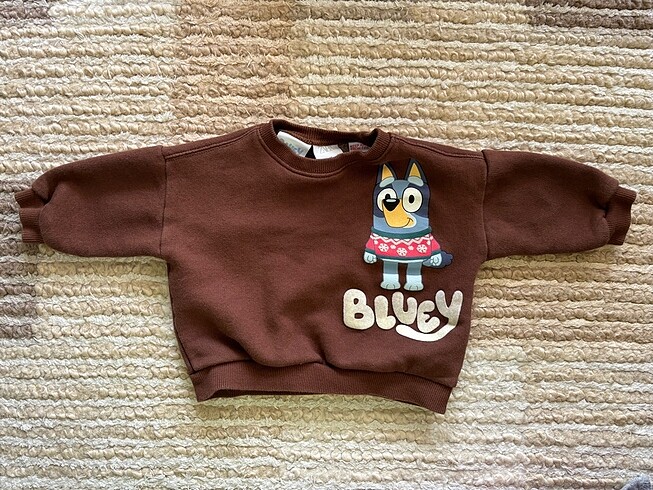 Zara erkek bebek sweat