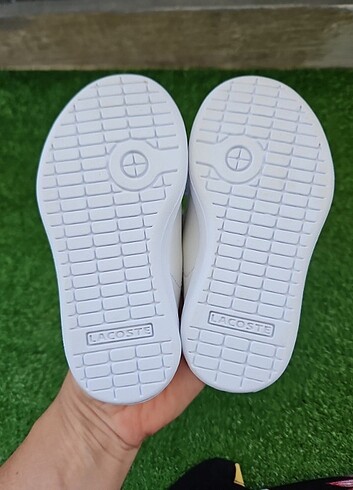 Lacoste Lacoste