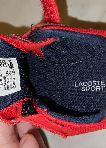 22 Beden Lacoste