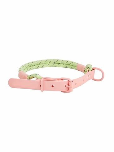Köpek Boyun Tasması