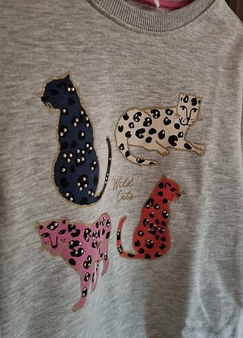 11-12 Yaş Beden çeşitli Renk Tshirt 