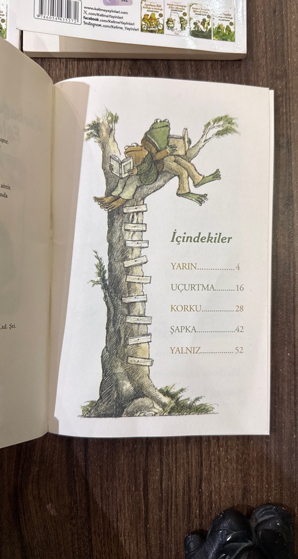 #Kurbağa ve Murbağa 4adet #KitapSeti - Görsel 3
