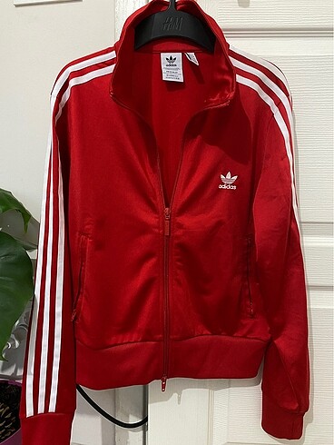 Orjina Adidas S