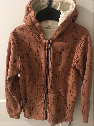 Kapüşonlu Sweatshirt