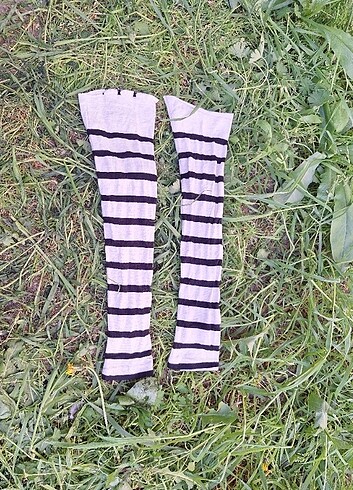 Kolluk