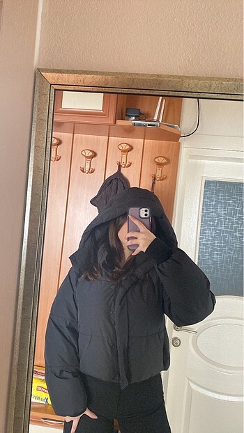 Stradivarius mont