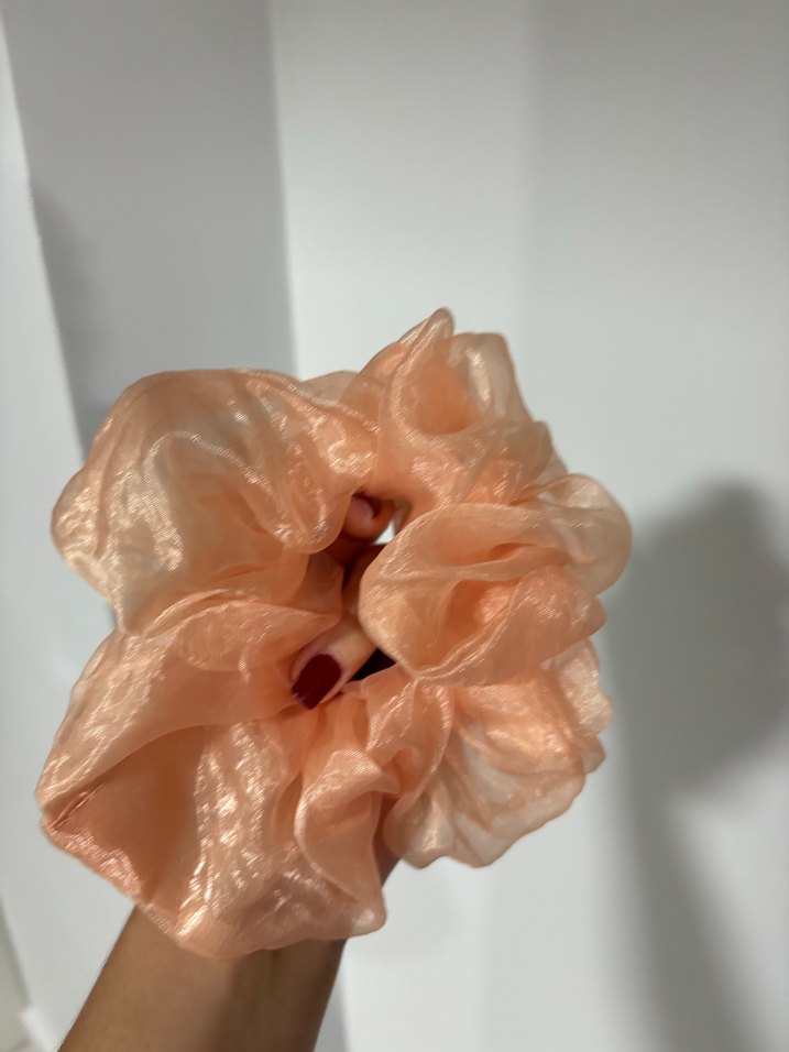 Şeffaf Bej tül Toka - Görsel 2