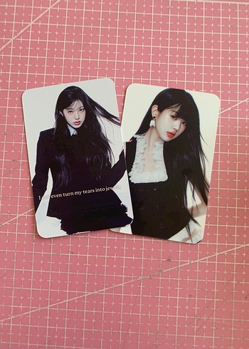 wony model set