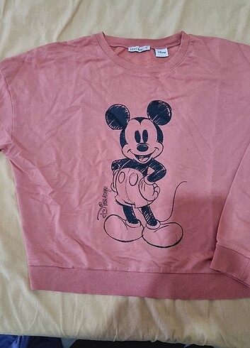 m Beden Lcw lisanslı sweatshirt