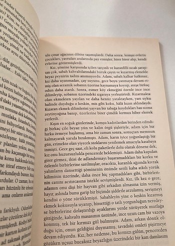 Beden İnsansız Konağın İkonu - Ali Teoman