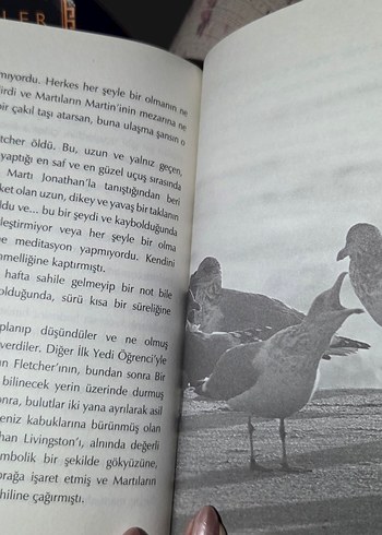 Beden Martı Jonathan Livingston - Richard Bach
