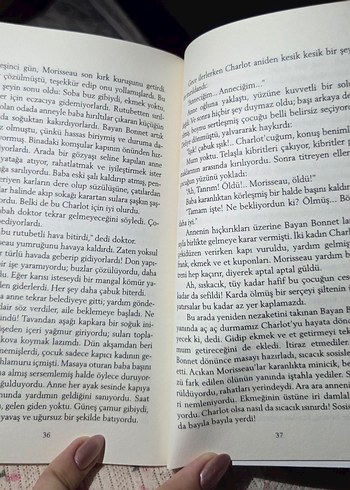 Beden Emile Zola - Nasıl Ölünür Romanı