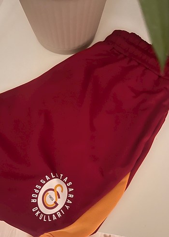 Galatasaray 11-12 Yaş