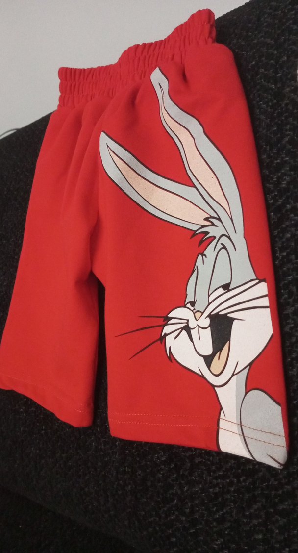 Kırmızı Elastik Bel Baskılı Erkek Şort - Görsel 3