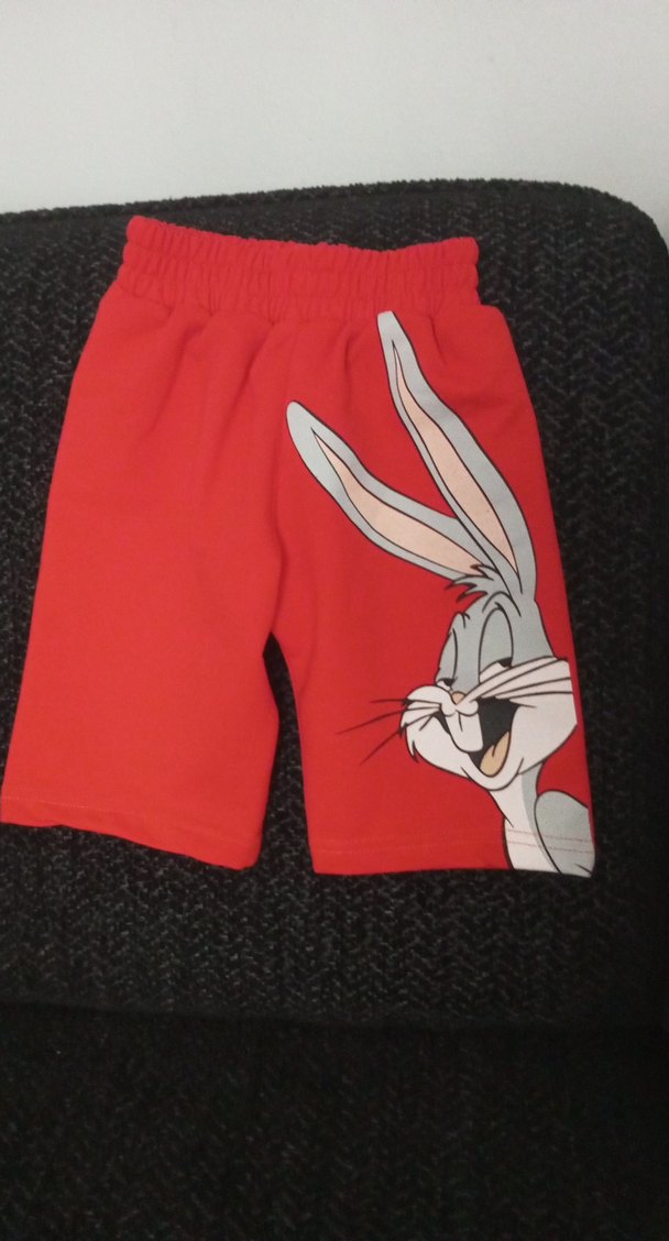 Kırmızı Elastik Bel Baskılı Erkek Şort - Görsel 2