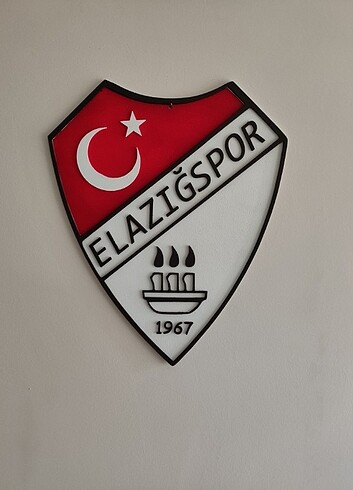 ELAZIĞSPOR 