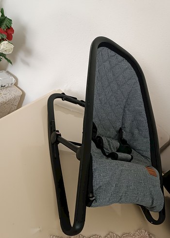 Gri Bebek Ana kucağı - Görsel 2