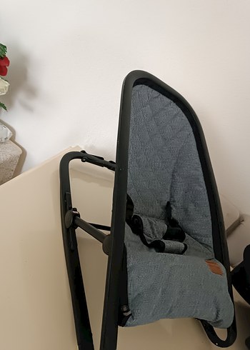 Gri Bebek Ana kucağı - Görsel 3