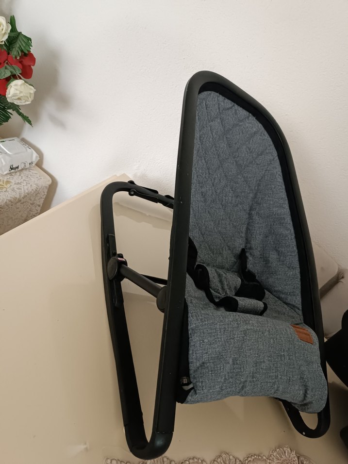 Gri Bebek Ana kucağı - Görsel 2