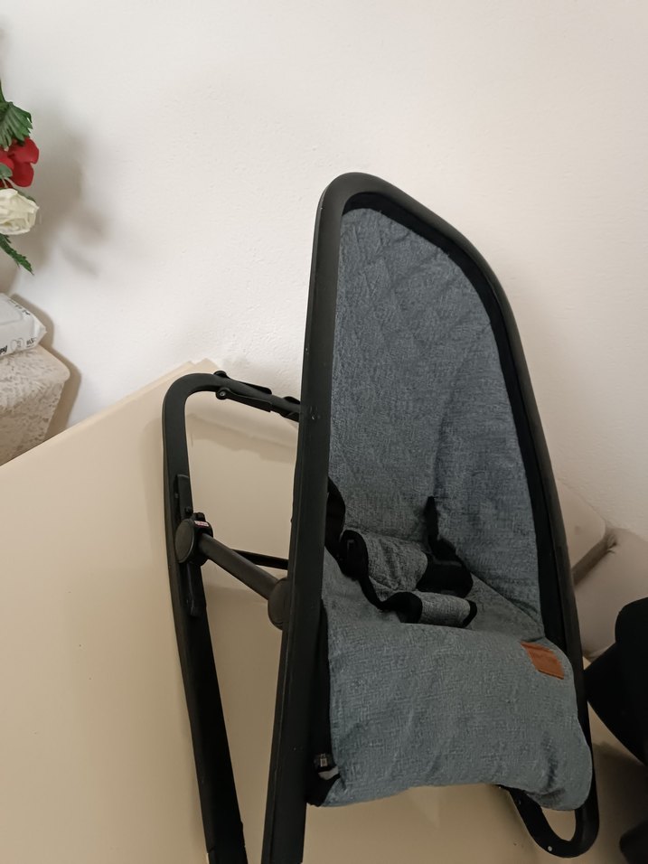 Gri Bebek Ana kucağı - Görsel 3