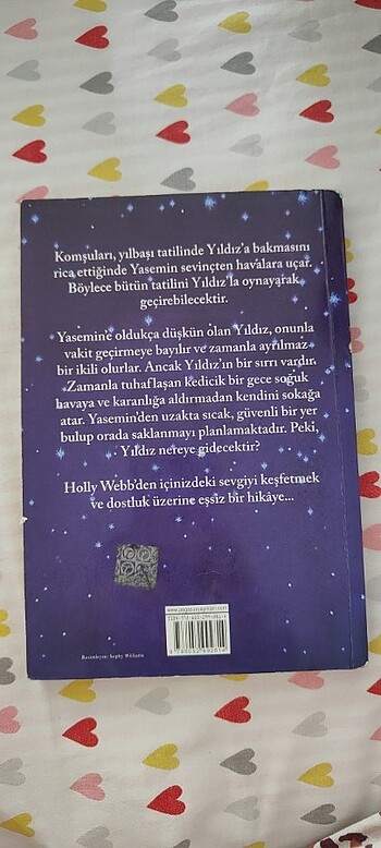 kayıp kedicik yıldız holly webb