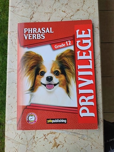 Privilege Phrasal Verbs 12.sınıf Dil