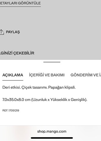 Mango Çanta Süsü - Görsel 4