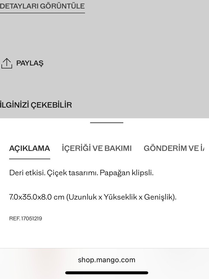 Mango Çanta Süsü - Görsel 4