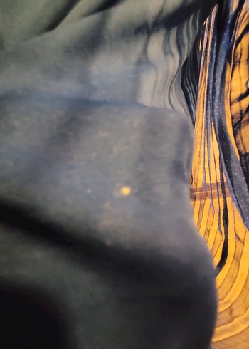 Mavi Pilili Puantiyeli Uzun Kadın Elbise - Görsel 14