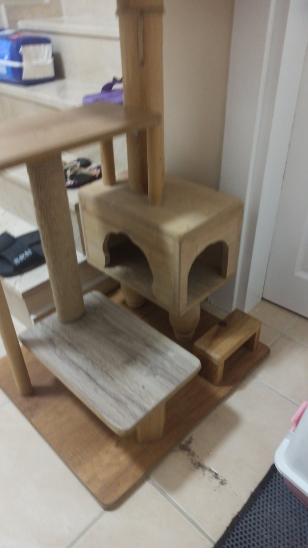 Bej ve Gri Kedi Tırmalama ve Dinlenme Alanı - Görsel 2