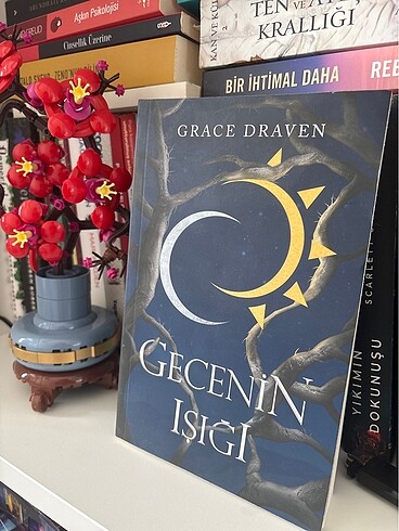 Gecenin ışığı